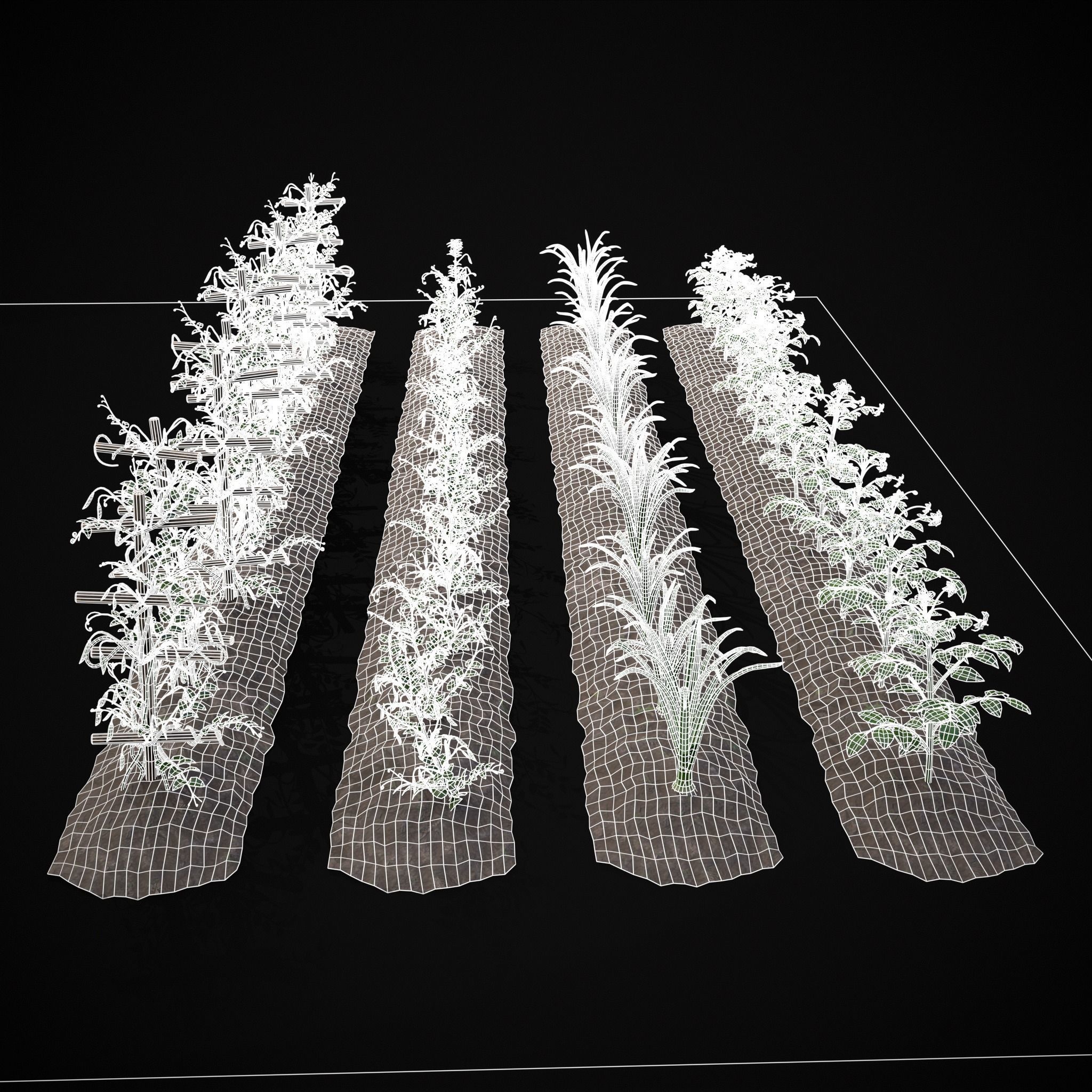 Crops Peas Onions and Potatoes 3D Model Collection_1