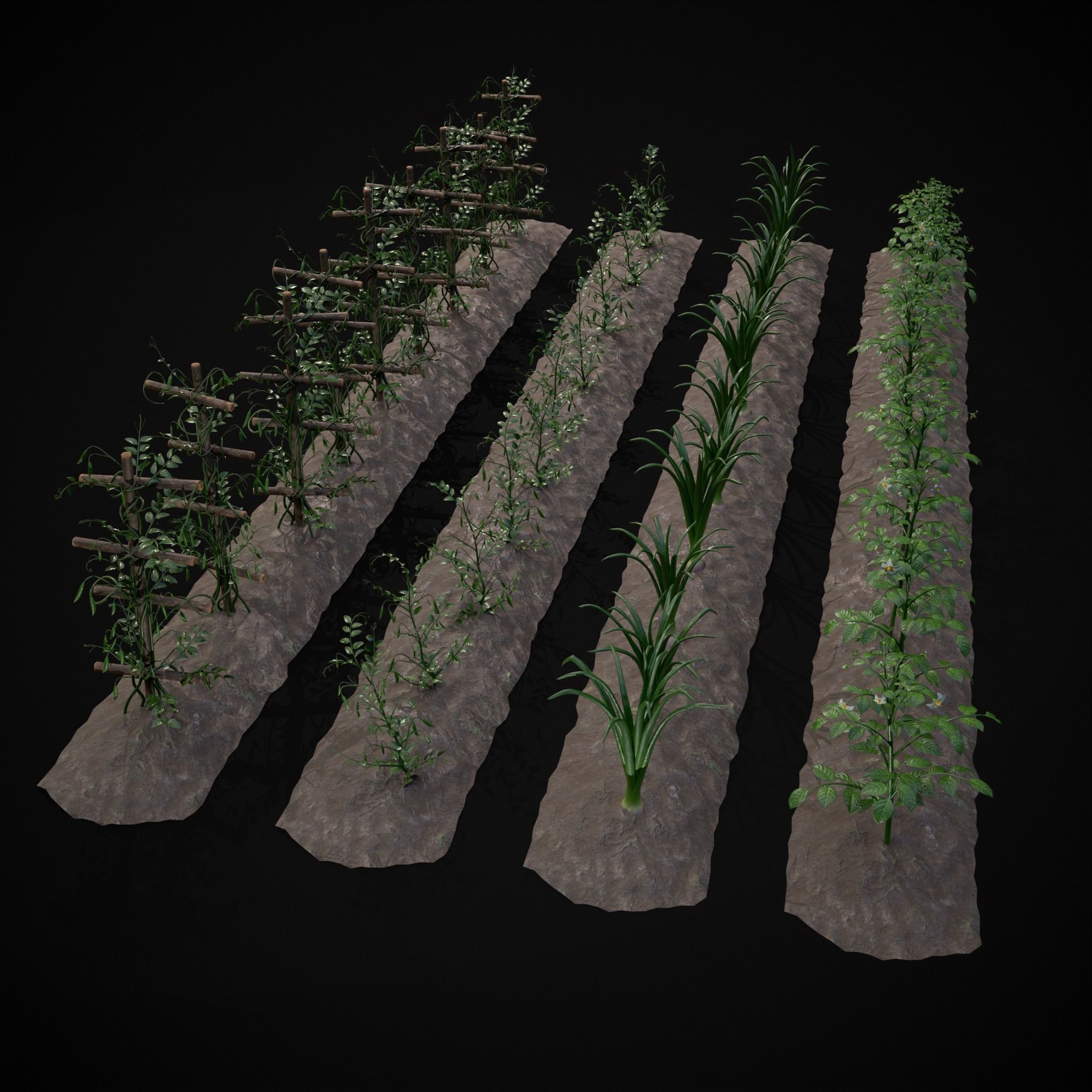Crops Peas Onions and Potatoes 3D Model Collection_2