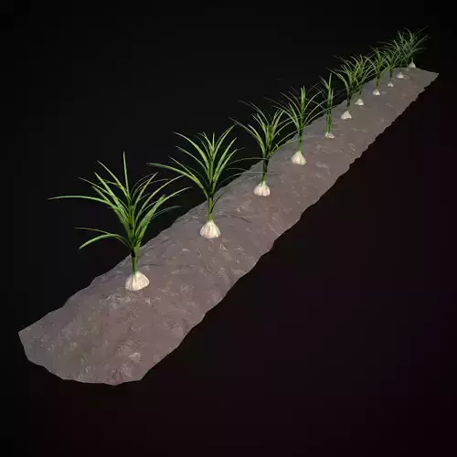 Crops Garlic Low-poly 3D model