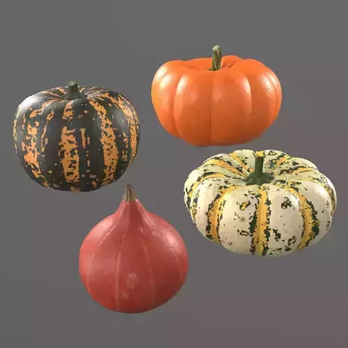 Four varieties of pumpkin gourds 3D model