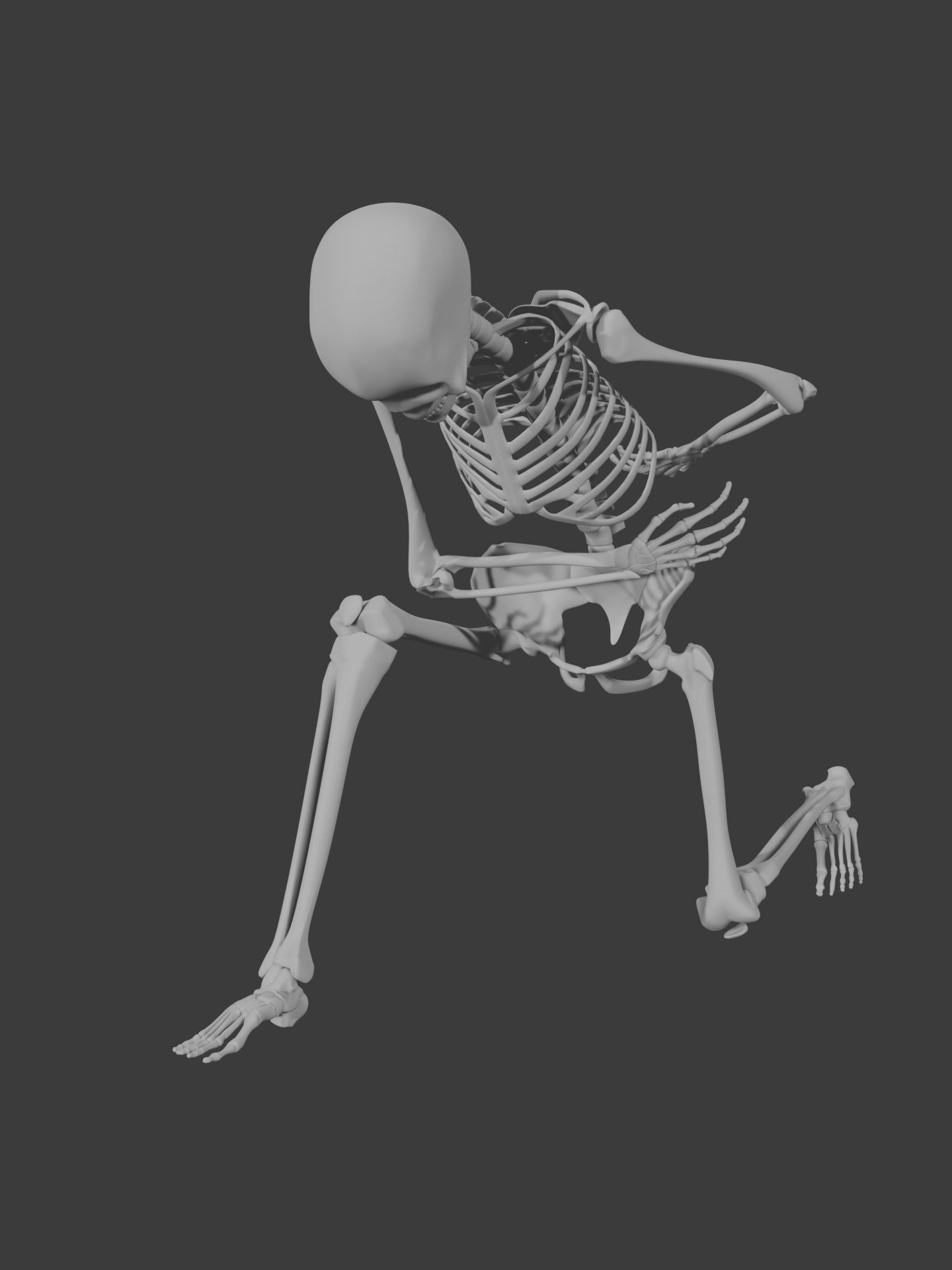 Human skeleton 3D model 3D model_13