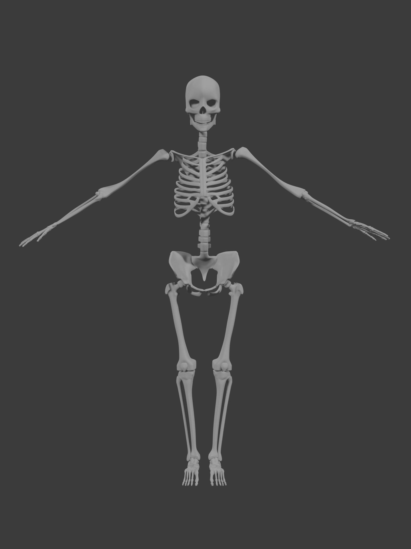 Human skeleton 3D model 3D model_1