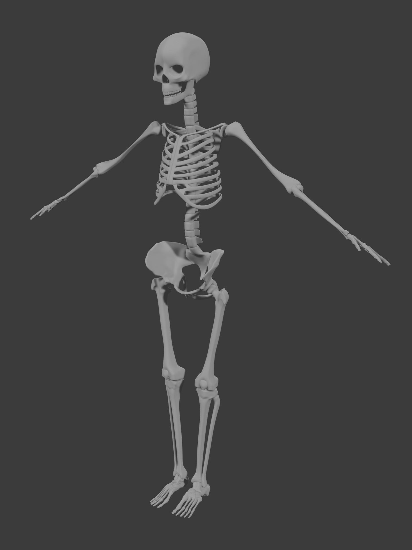 Human skeleton 3D model 3D model_3
