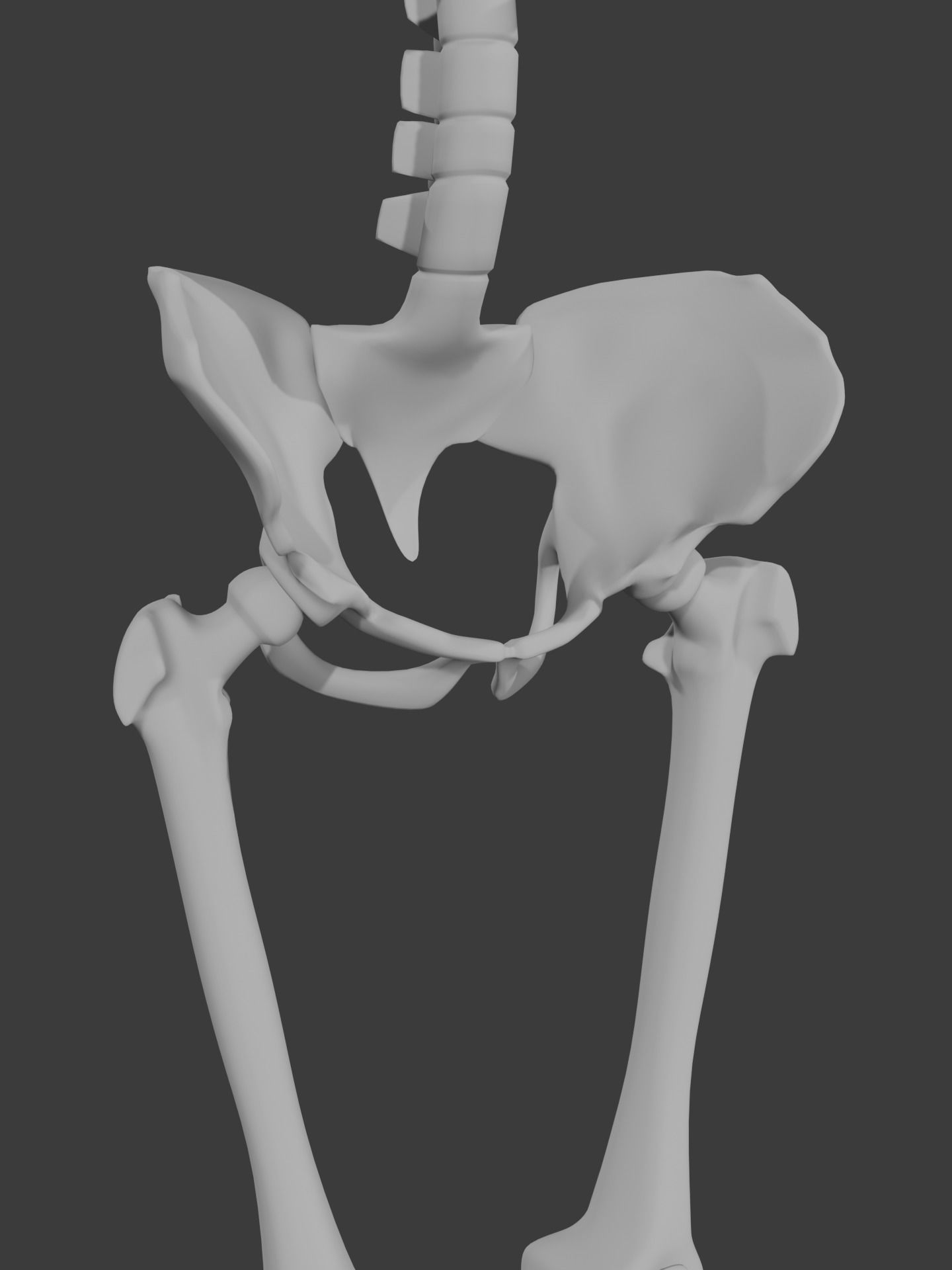 Human skeleton 3D model 3D model_6