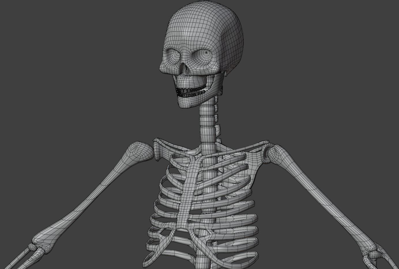 Human skeleton 3D model 3D model_9