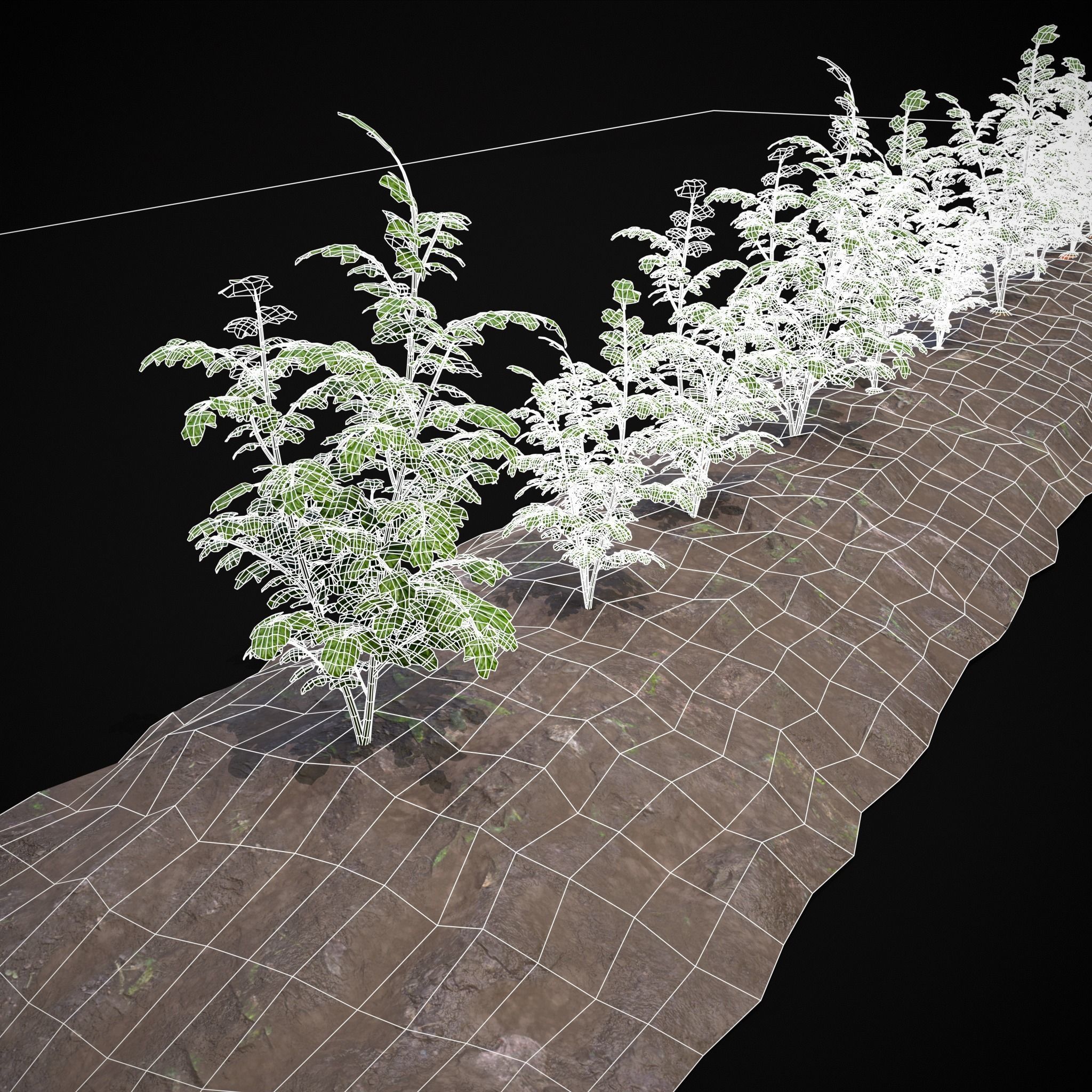 Farmers Crops 3D Model Collection_39