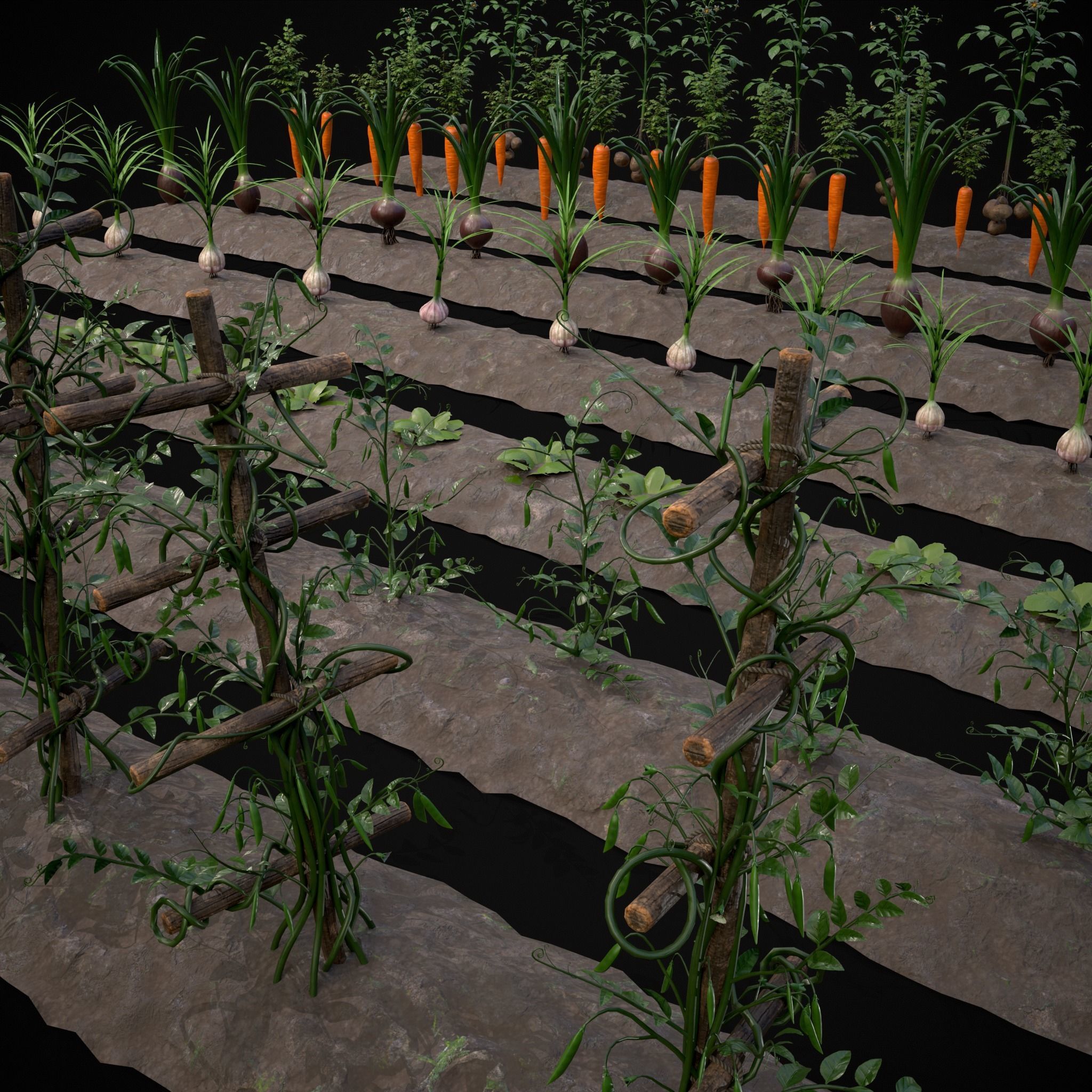 Farmers Crops 3D Model Collection_59