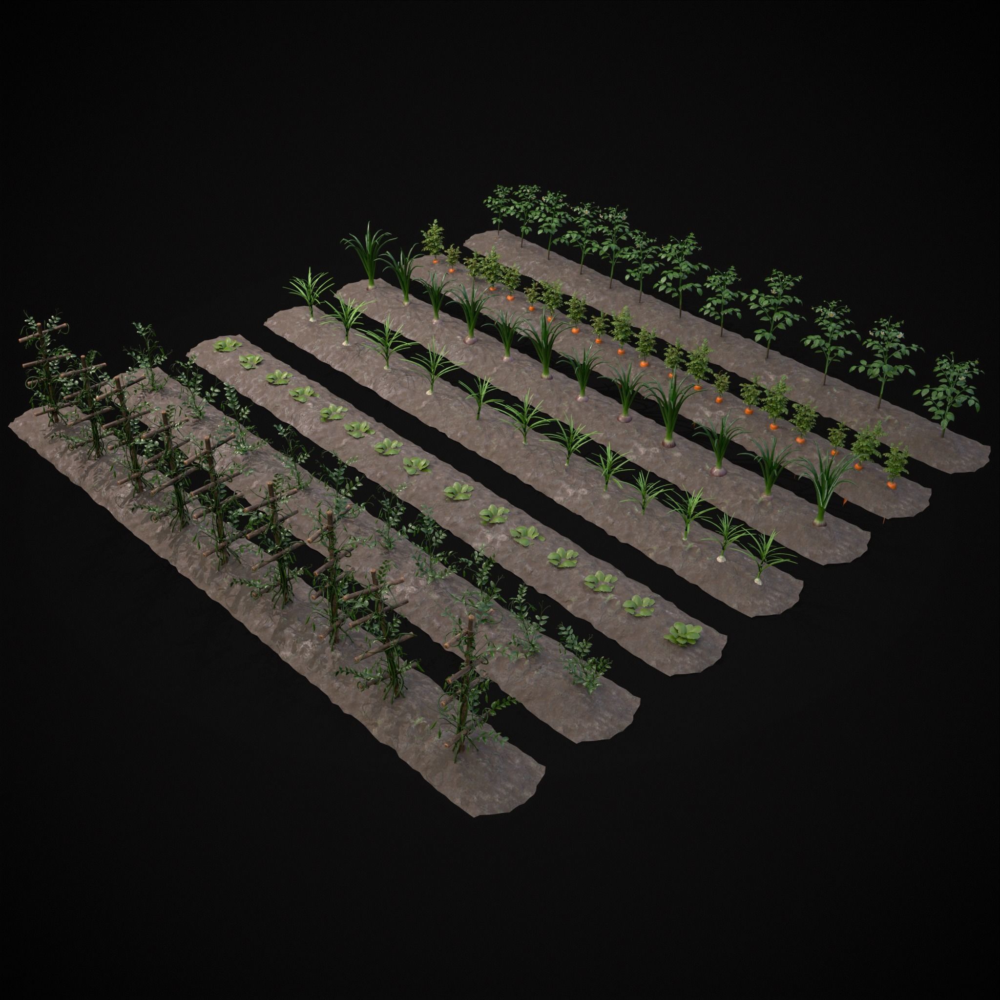 Farmers Crops 3D Model Collection_9
