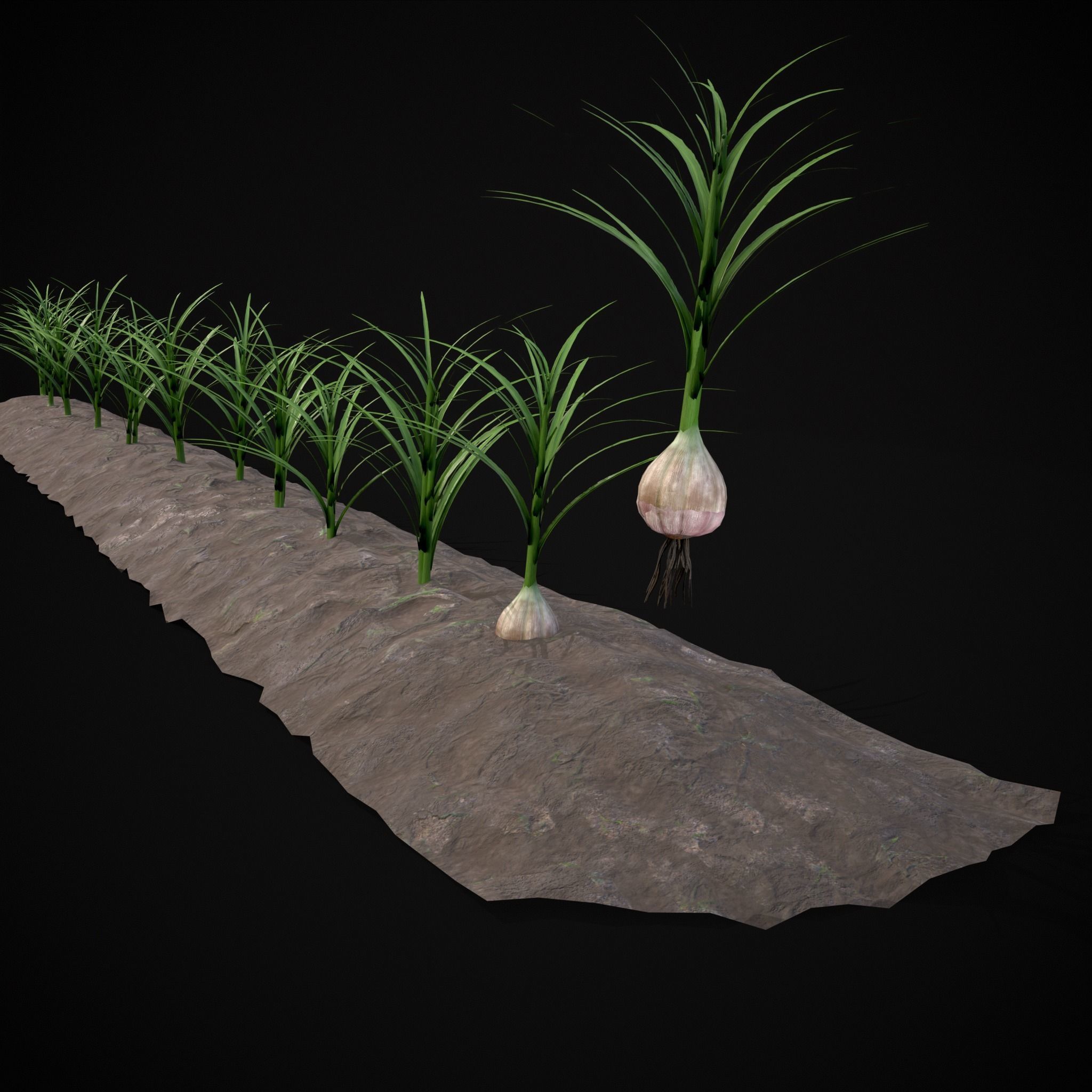 Farmers Crops 3D Model Collection_56