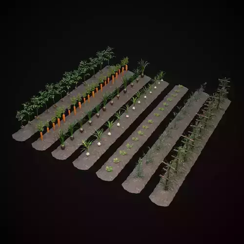 Farmers Crops 3D Model Collection