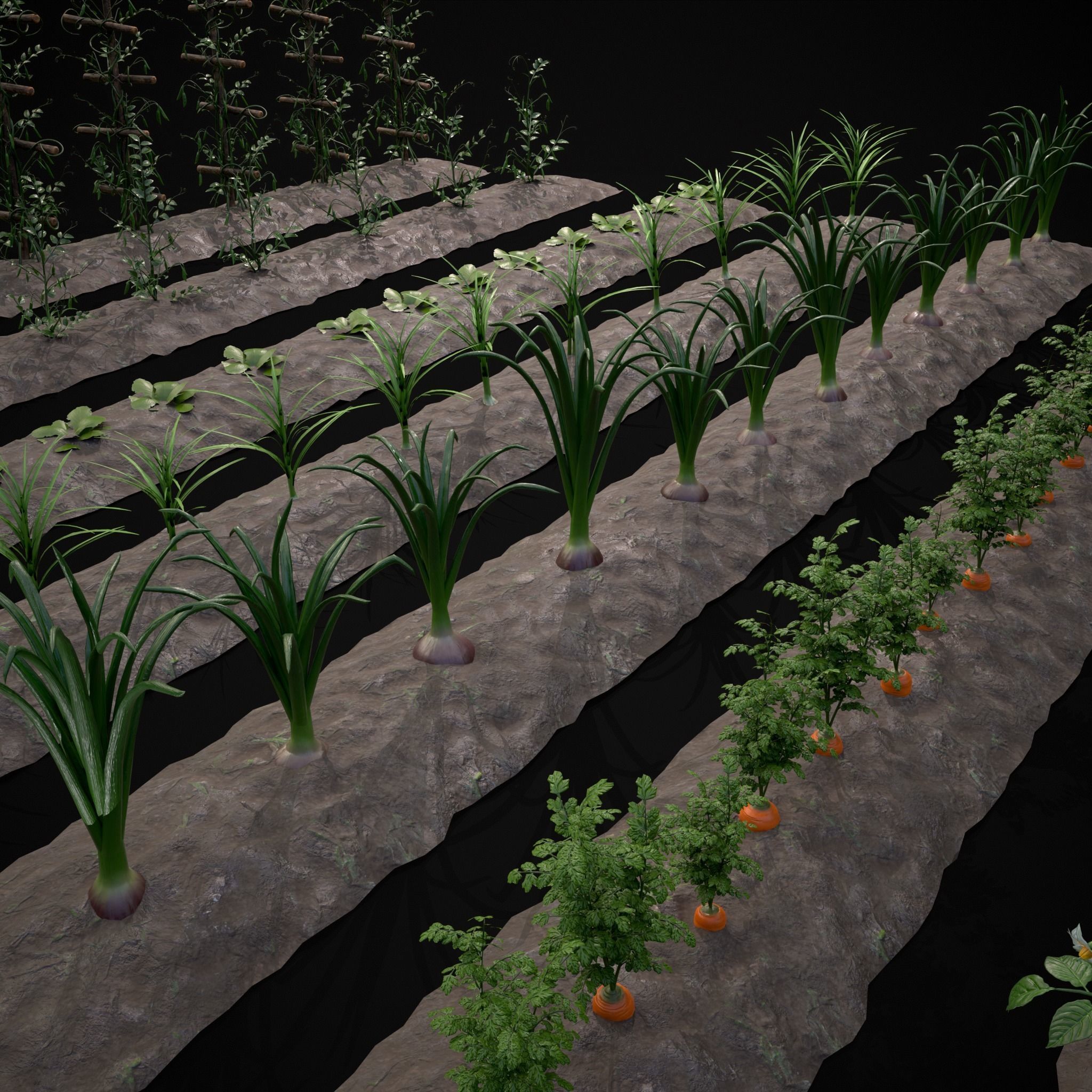 Farmers Crops 3D Model Collection_23