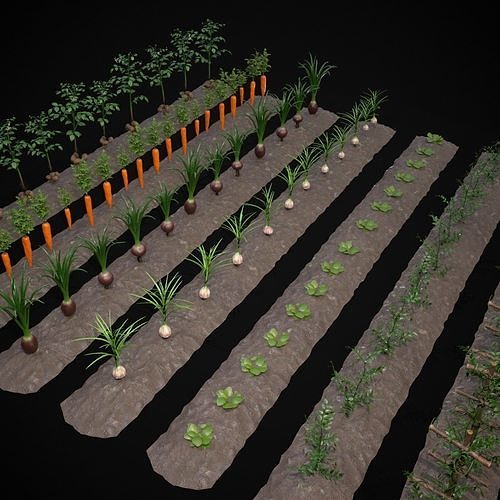 Farmers Crops 3D Model Pack 2