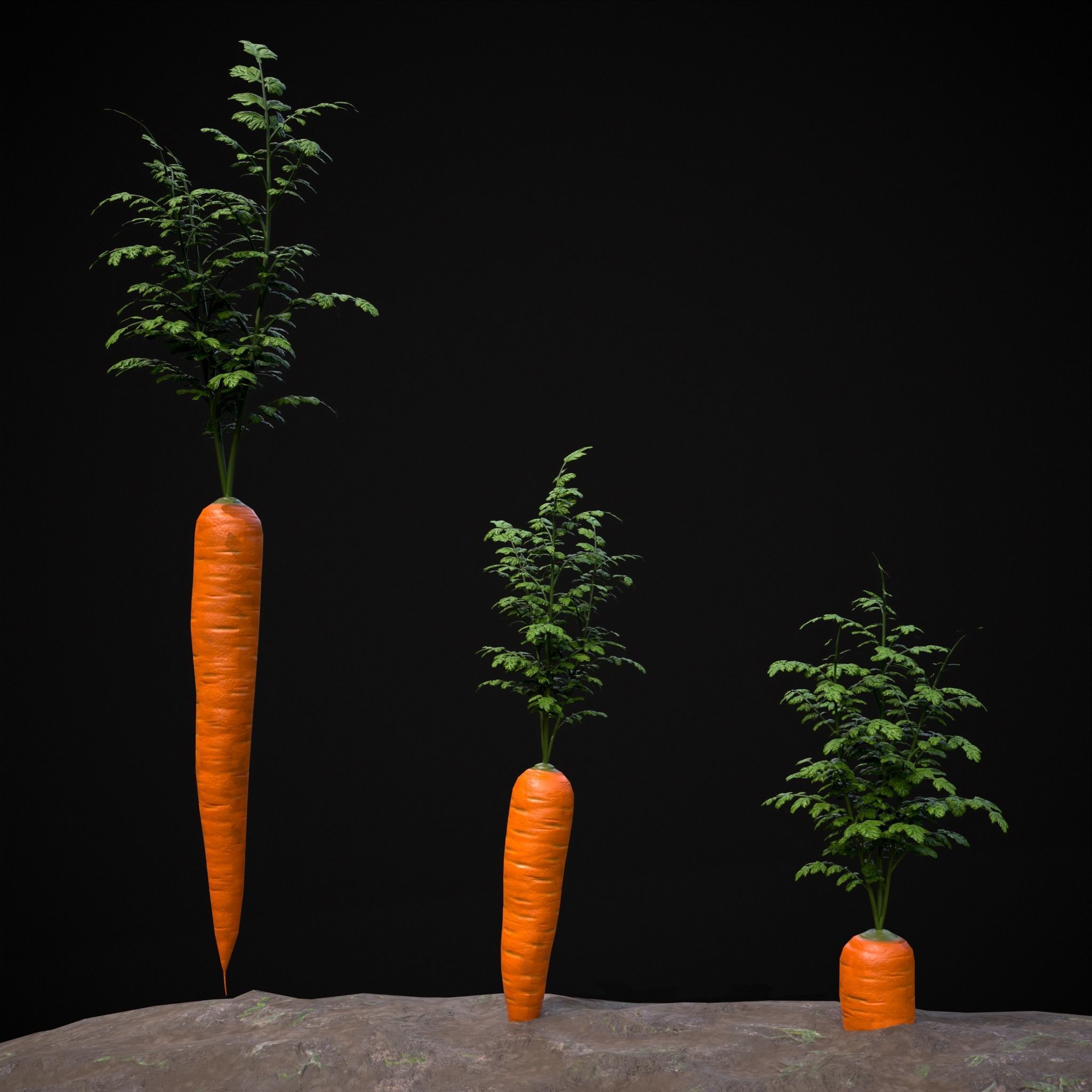 Farmers Crops 3D Model Collection_40