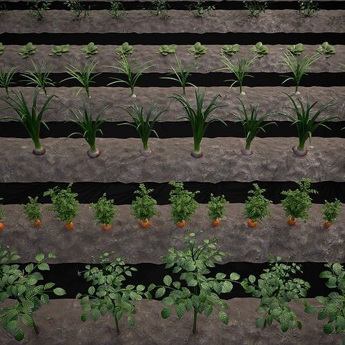 Farmers Crops 3D Model Pack 4