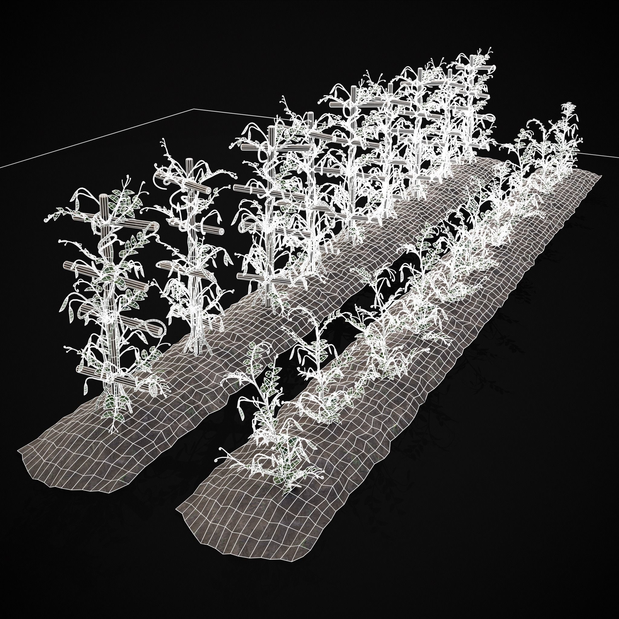 Farmers Crops 3D Model Collection_53