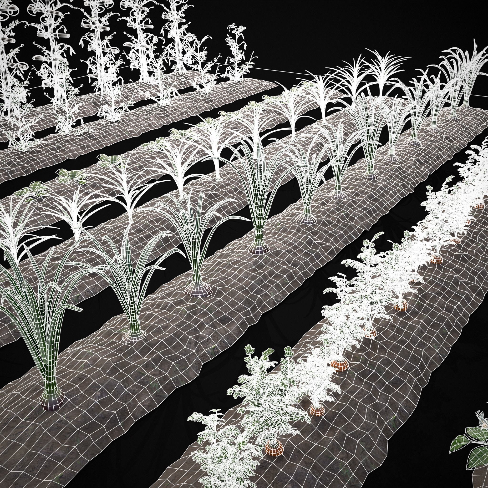 Farmers Crops 3D Model Collection_24
