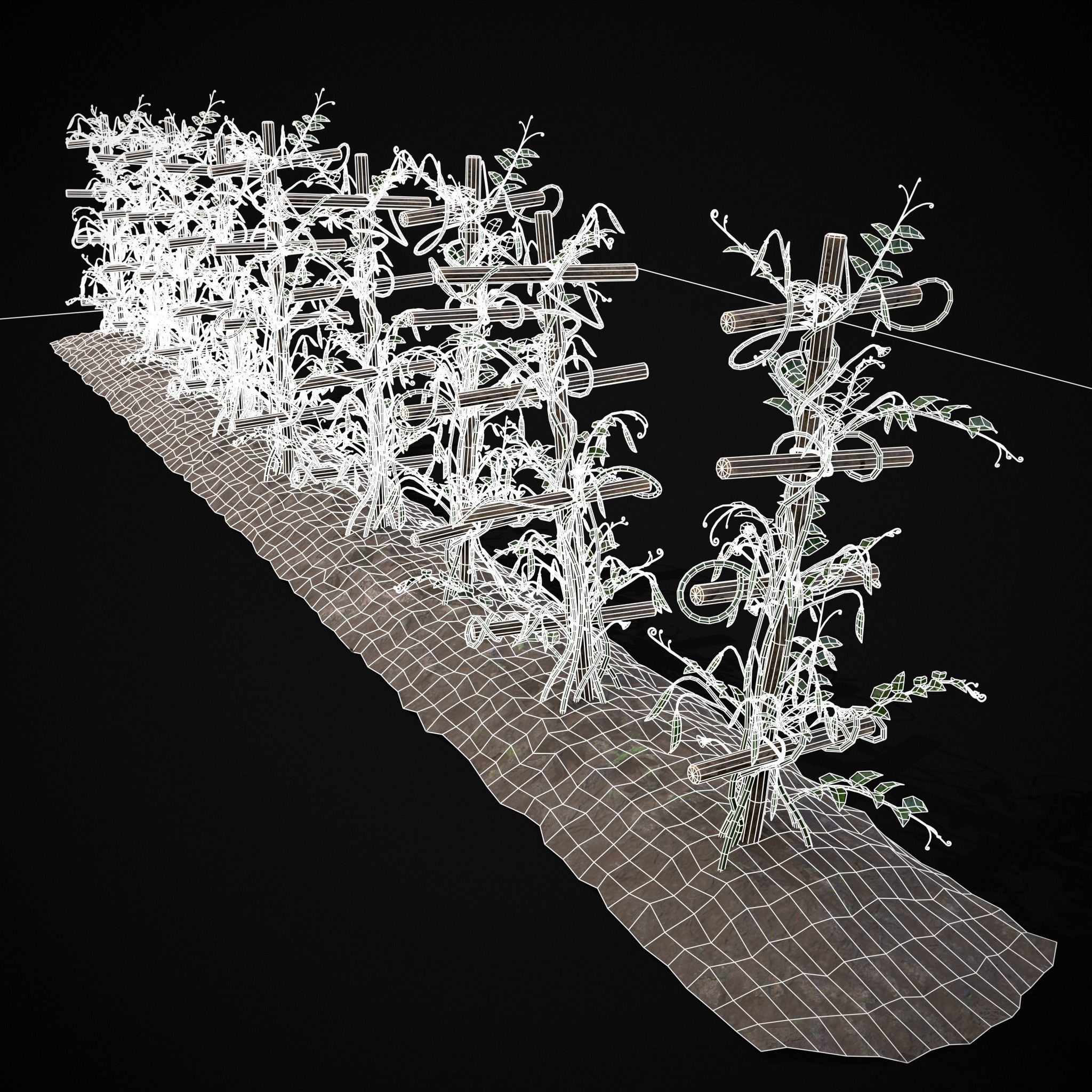 Farmers Crops 3D Model Collection_49