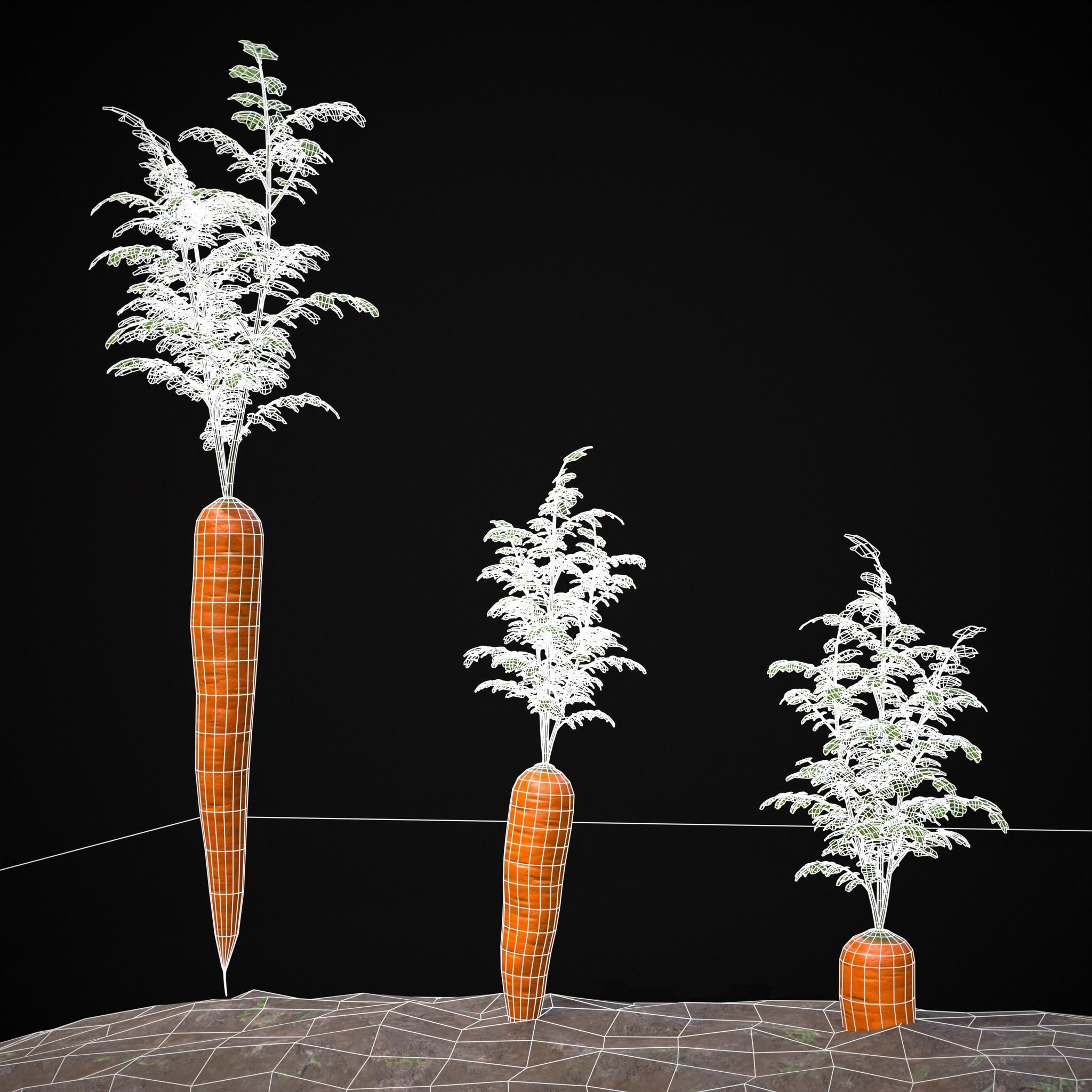 Farmers Crops 3D Model Collection_41
