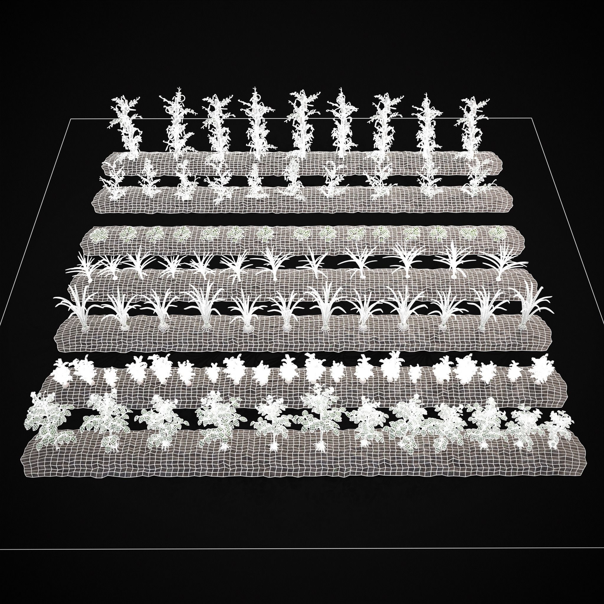 Farmers Crops 3D Model Collection_26