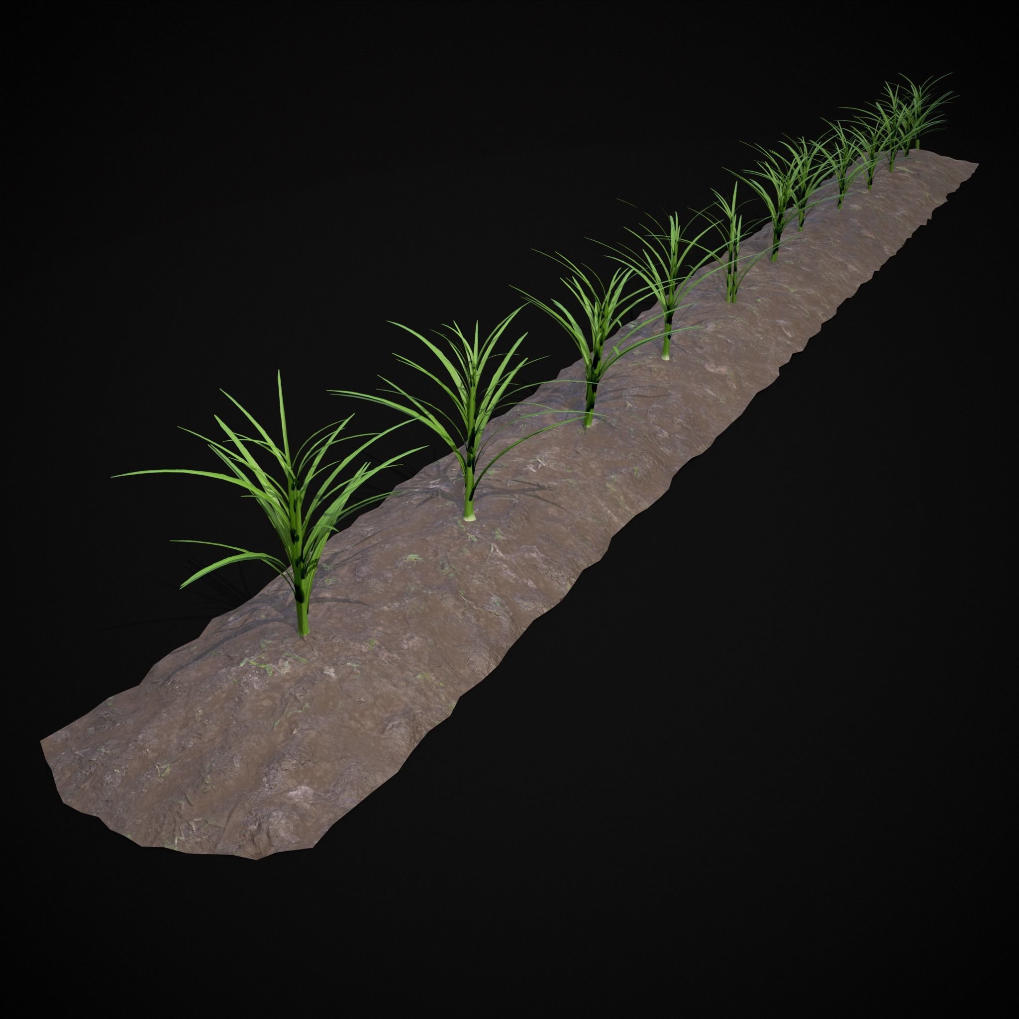 Farmers Crops 3D Model Collection_54