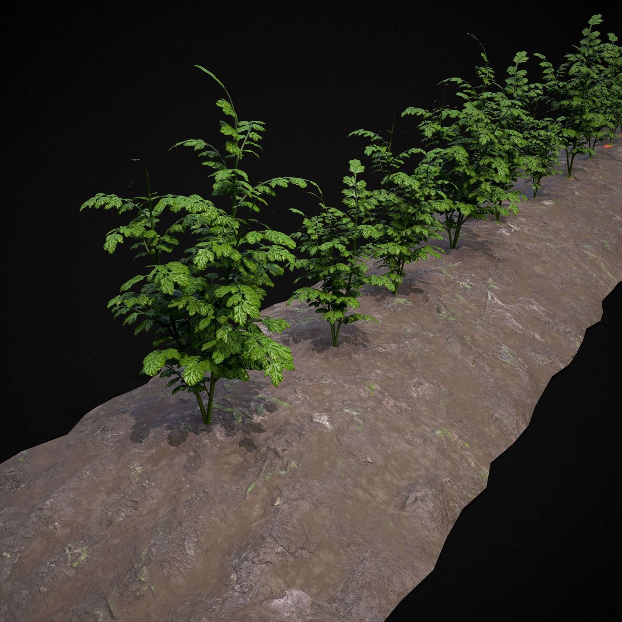 Farmers Crops 3D Model Collection_38