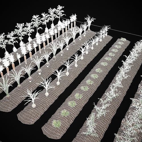 Farmers Crops 3D Model Pack 3