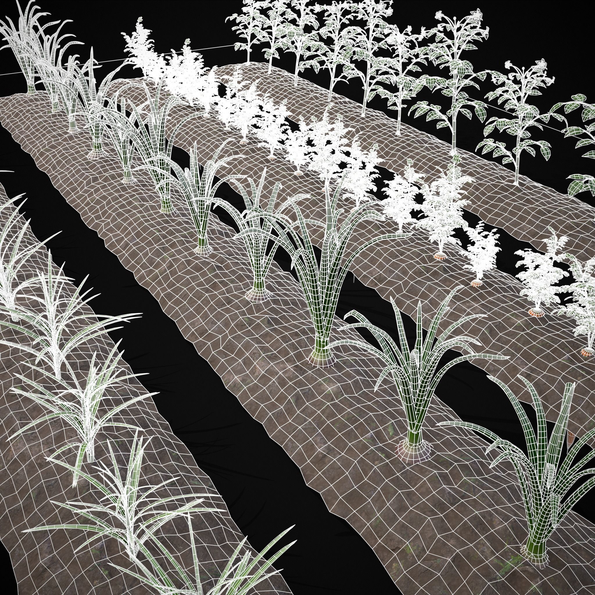 Farmers Crops 3D Model Collection_18