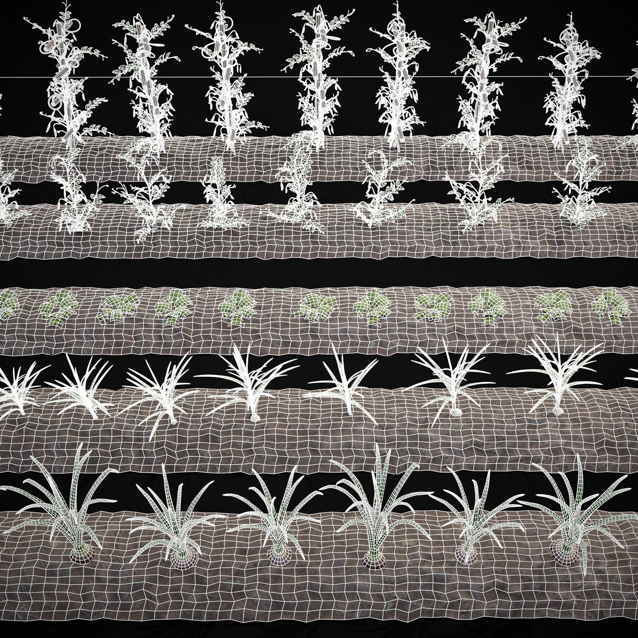 Farmers Crops 3D Model Collection_6