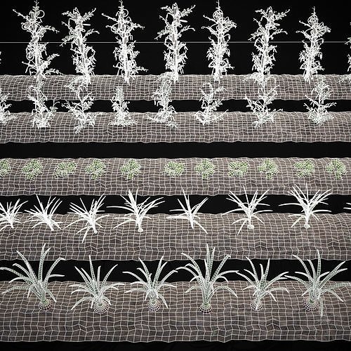 Farmers Crops 3D Model Pack 7