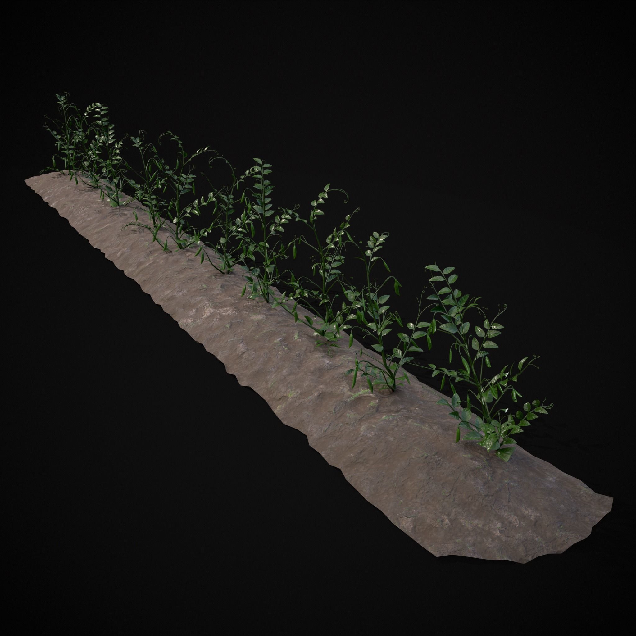 Farmers Crops 3D Model Collection_50