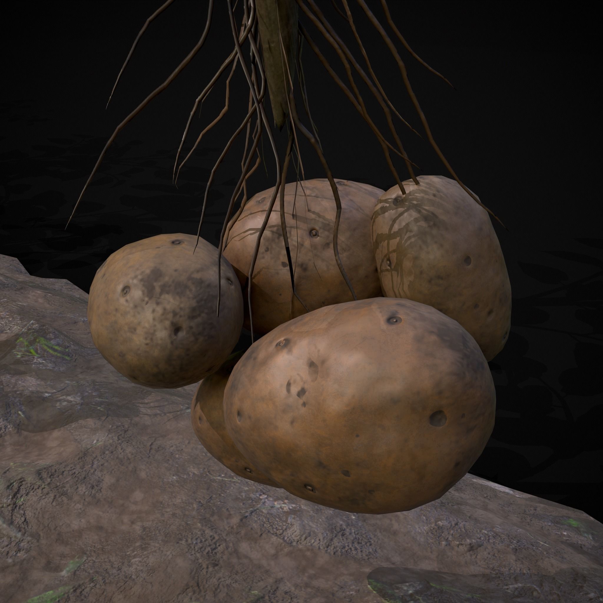 Farmers Crops 3D Model Collection_46