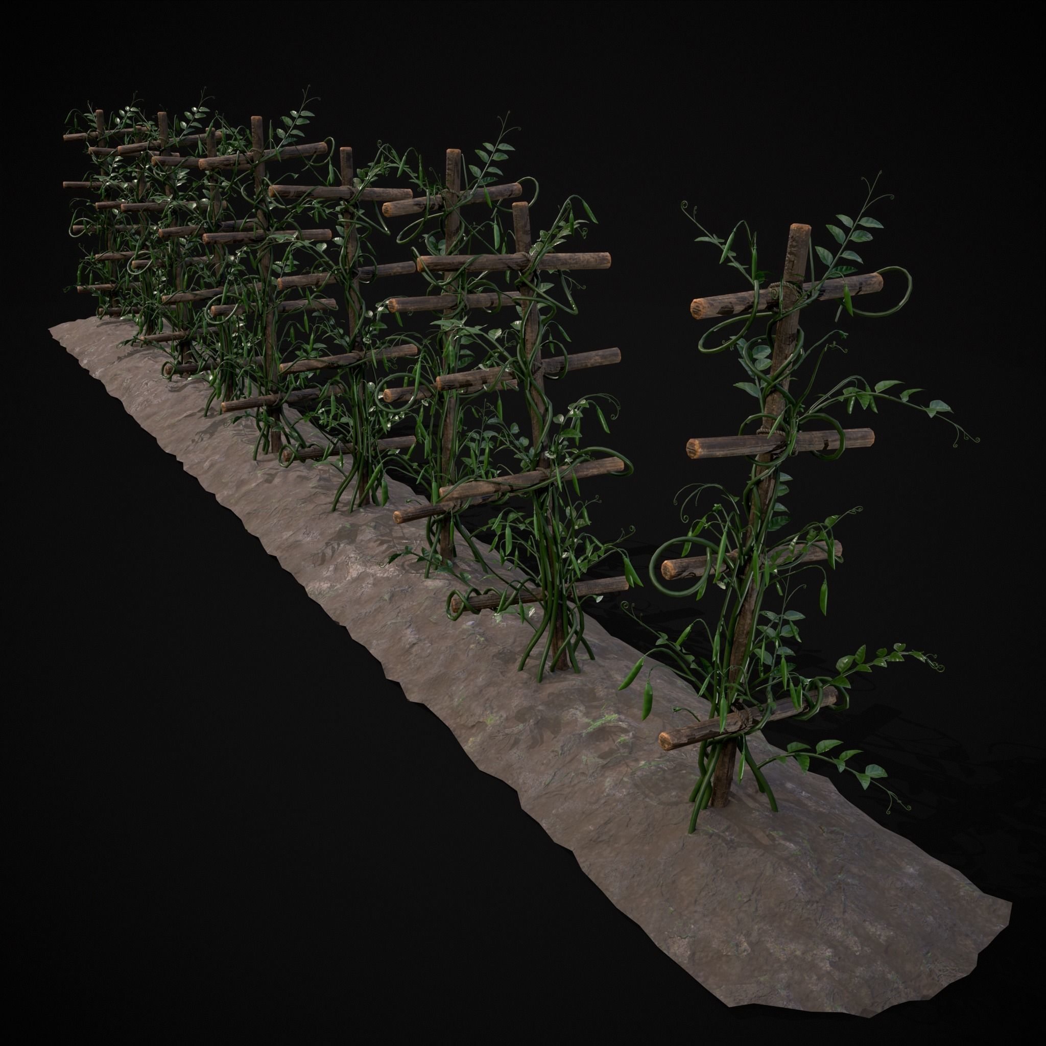 Farmers Crops 3D Model Collection_48
