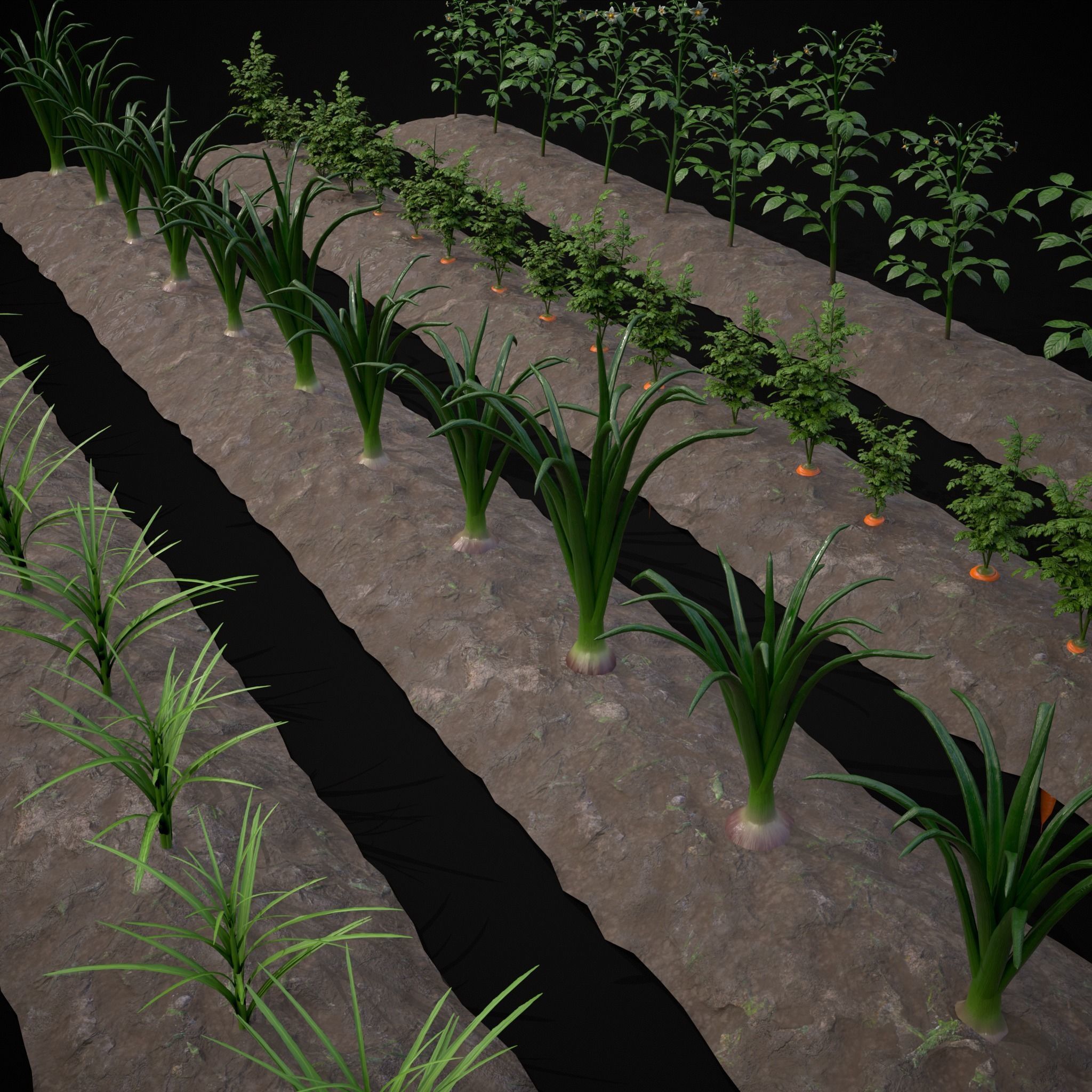Farmers Crops 3D Model Collection_17