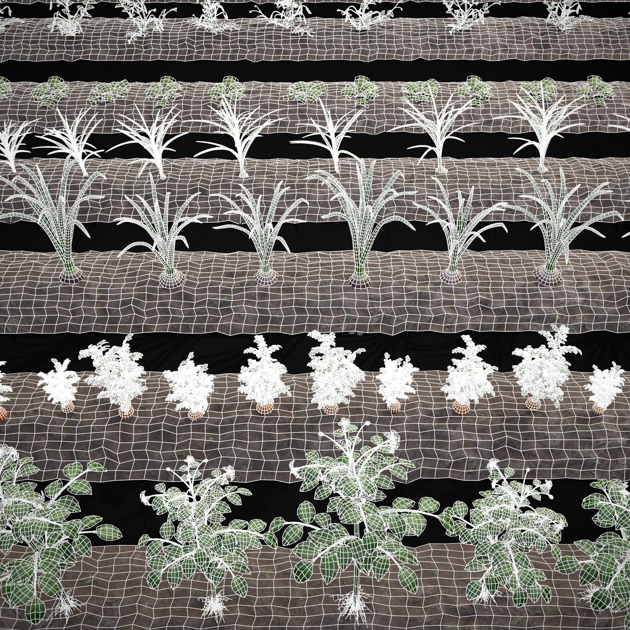 Farmers Crops 3D Model Collection_4