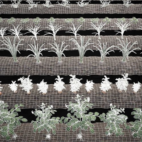 Farmers Crops 3D Model Pack 5
