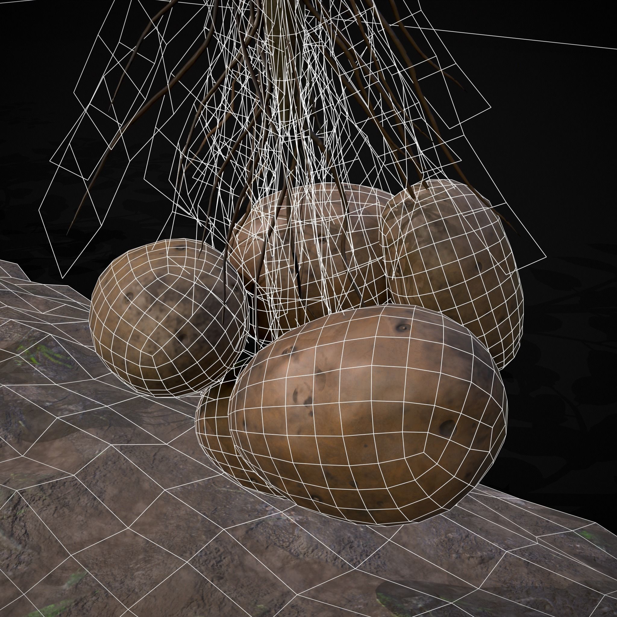 Farmers Crops 3D Model Collection_47