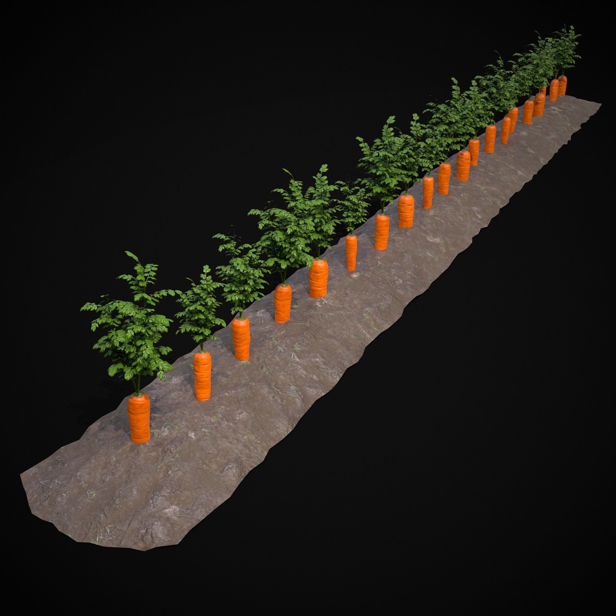 Farmers Crops 3D Model Collection_34