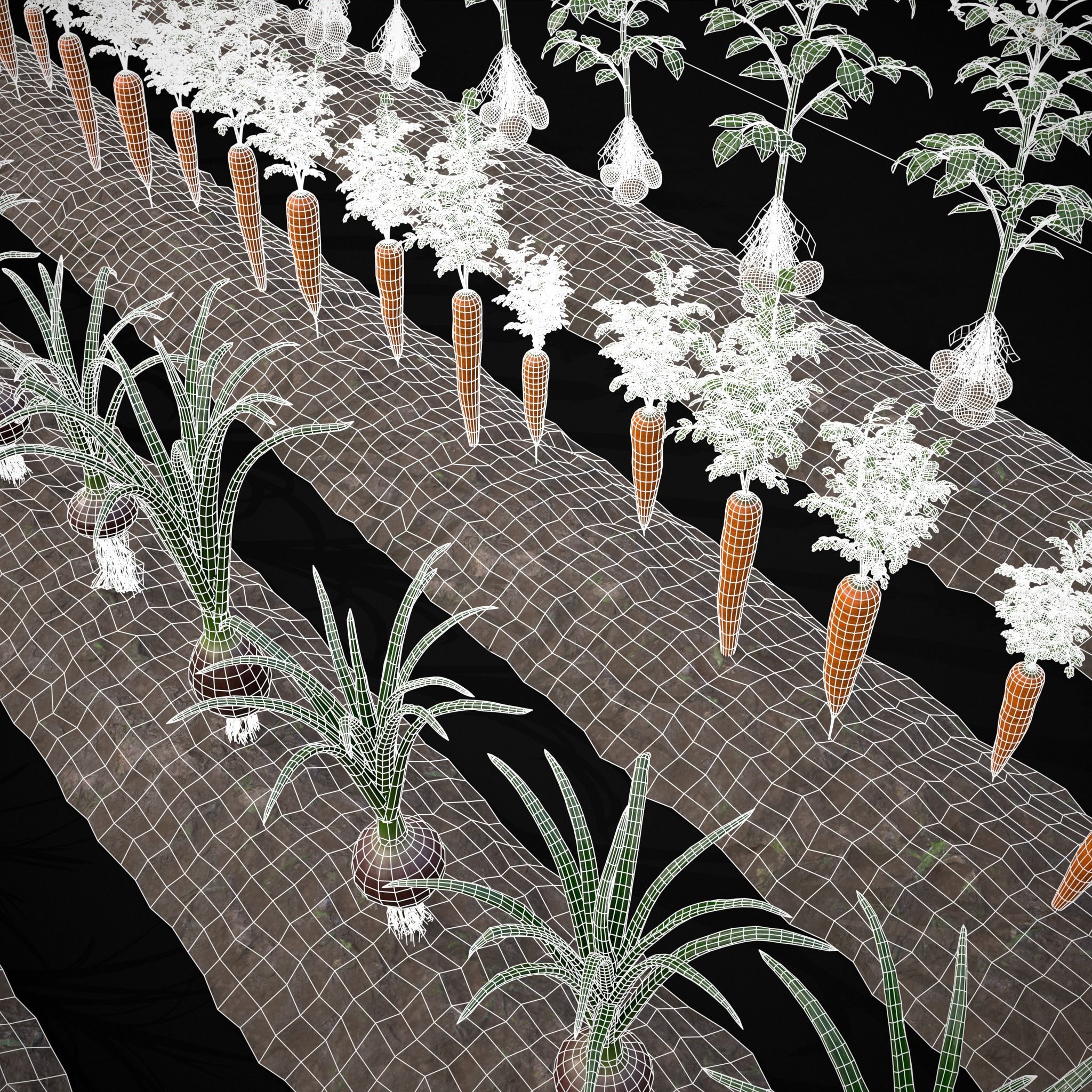 Farmers Crops 3D Model Collection_12