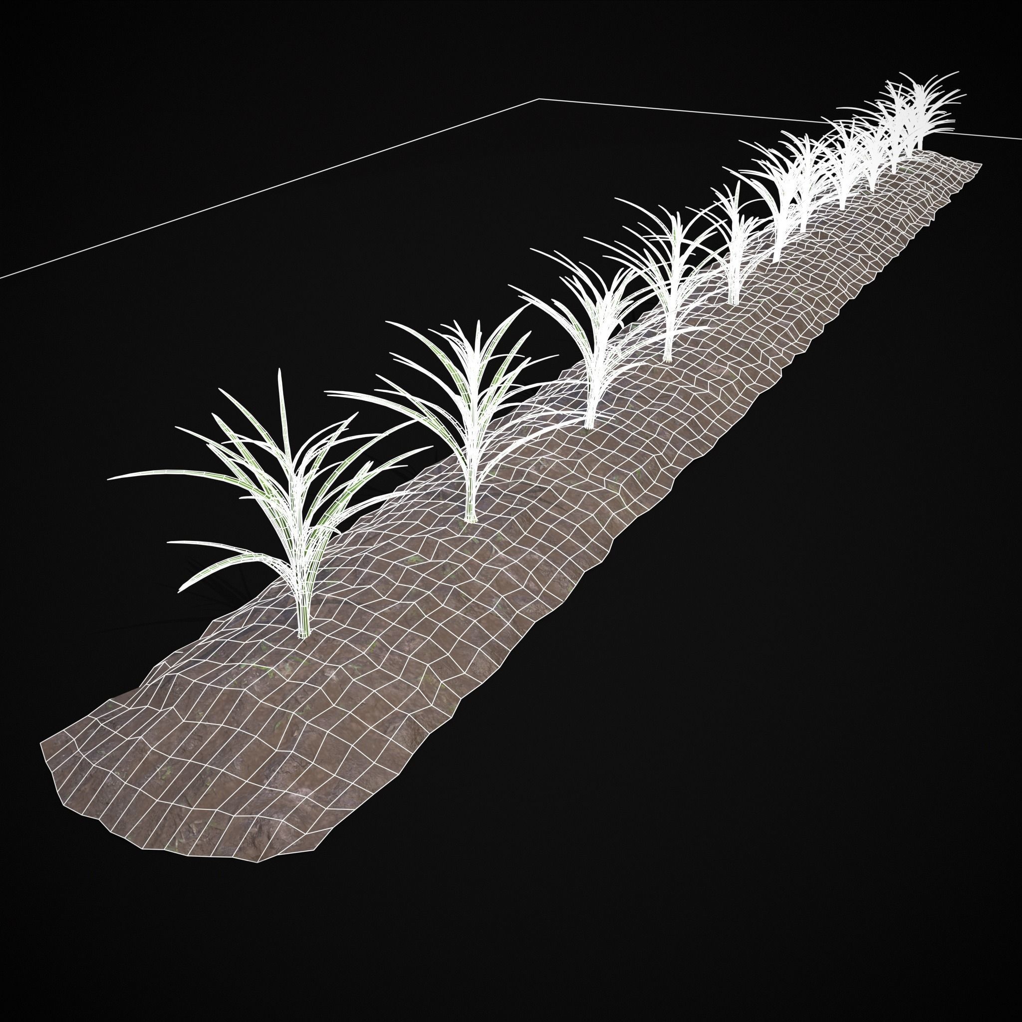 Farmers Crops 3D Model Collection_55