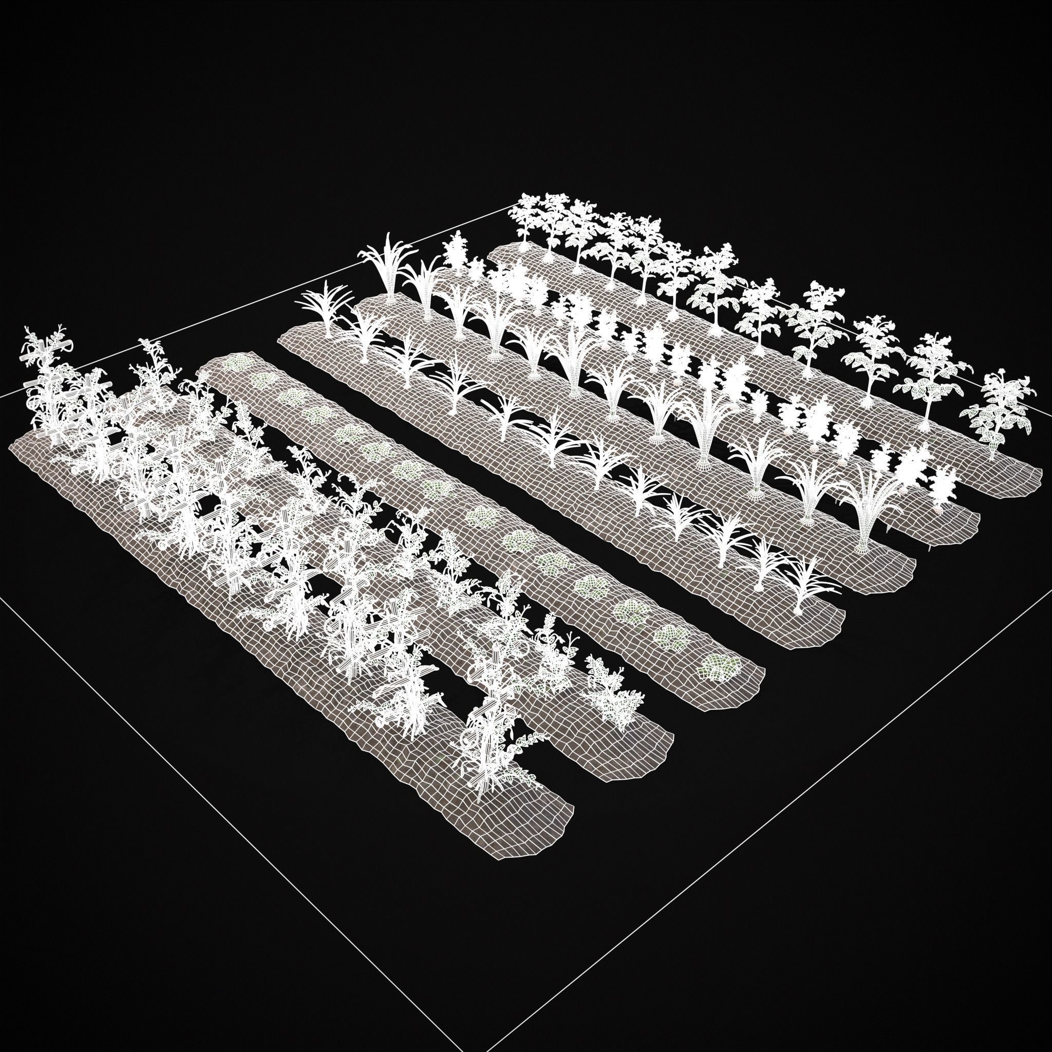 Farmers Crops 3D Model Collection_10