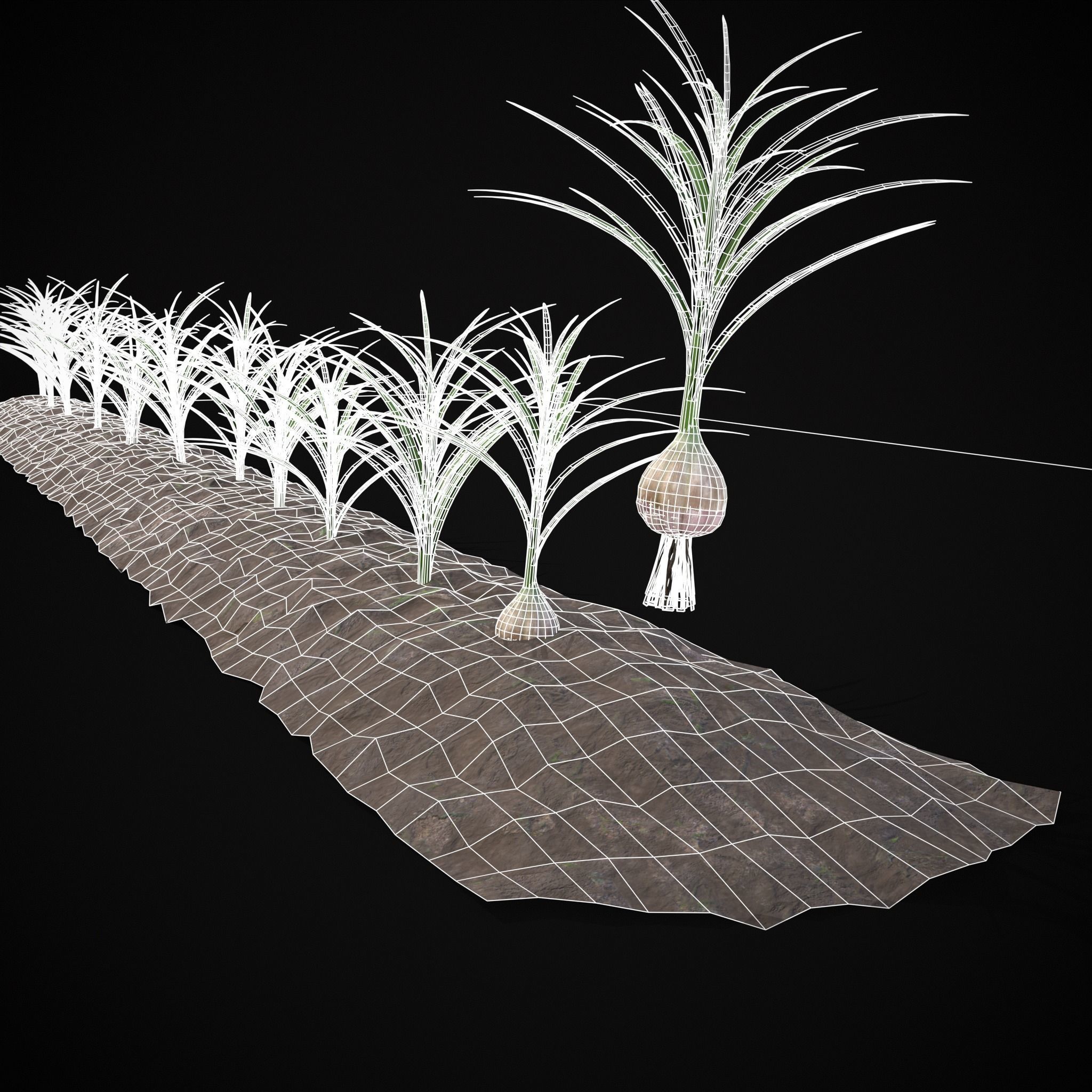 Farmers Crops 3D Model Collection_57