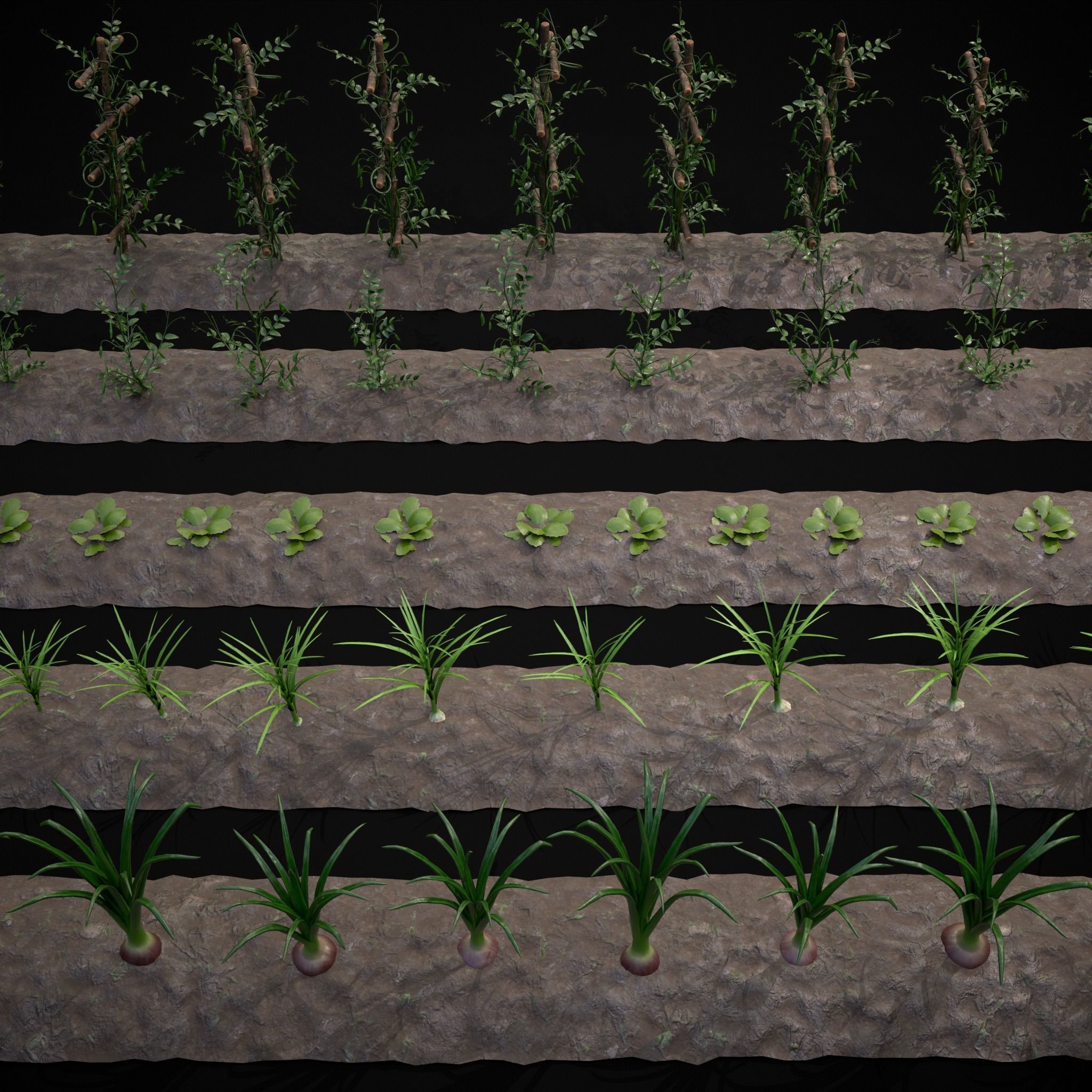 Farmers Crops 3D Model Collection_5