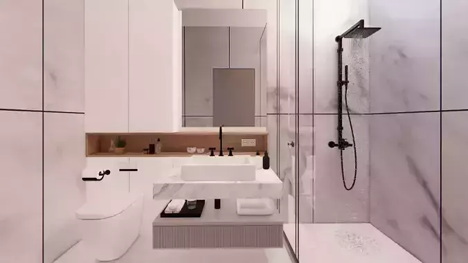 Toilet Interior 