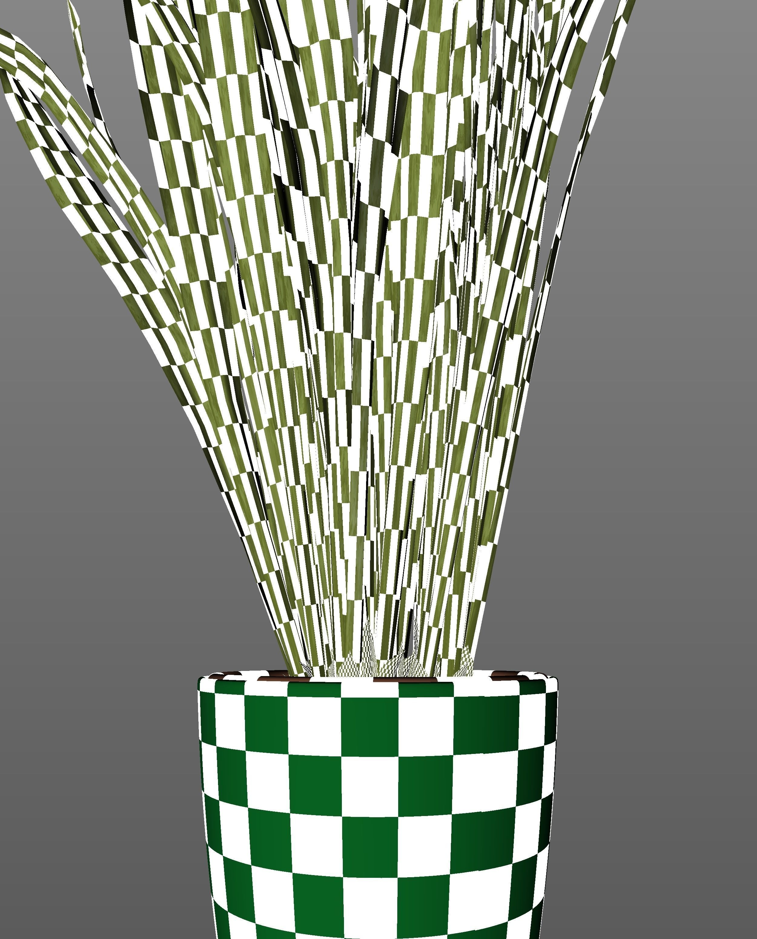 Snake Plant  3D model_6