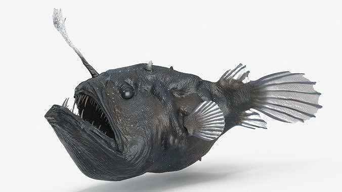 Anglerfish Rigged 3D model 6