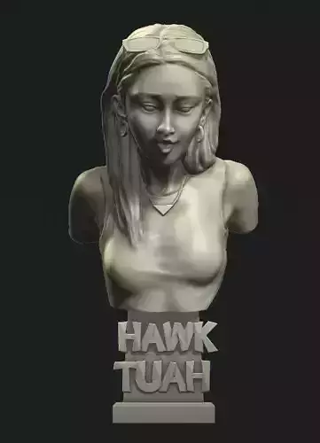 Hawk Tuah Girl 3D model