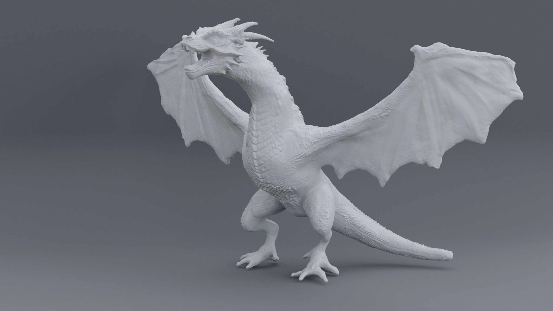 Dragon Wyrm 1   3D model_4