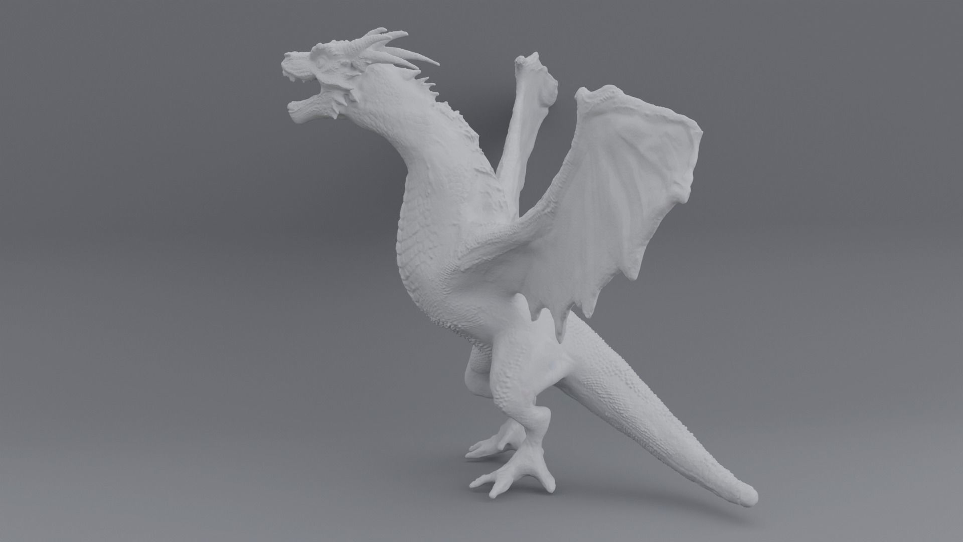 Dragon Wyrm 1   3D model_5