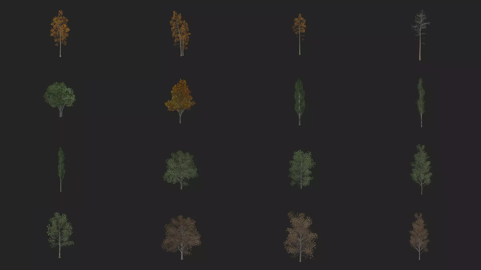 Tree 3D Model 3D Model Collection_0