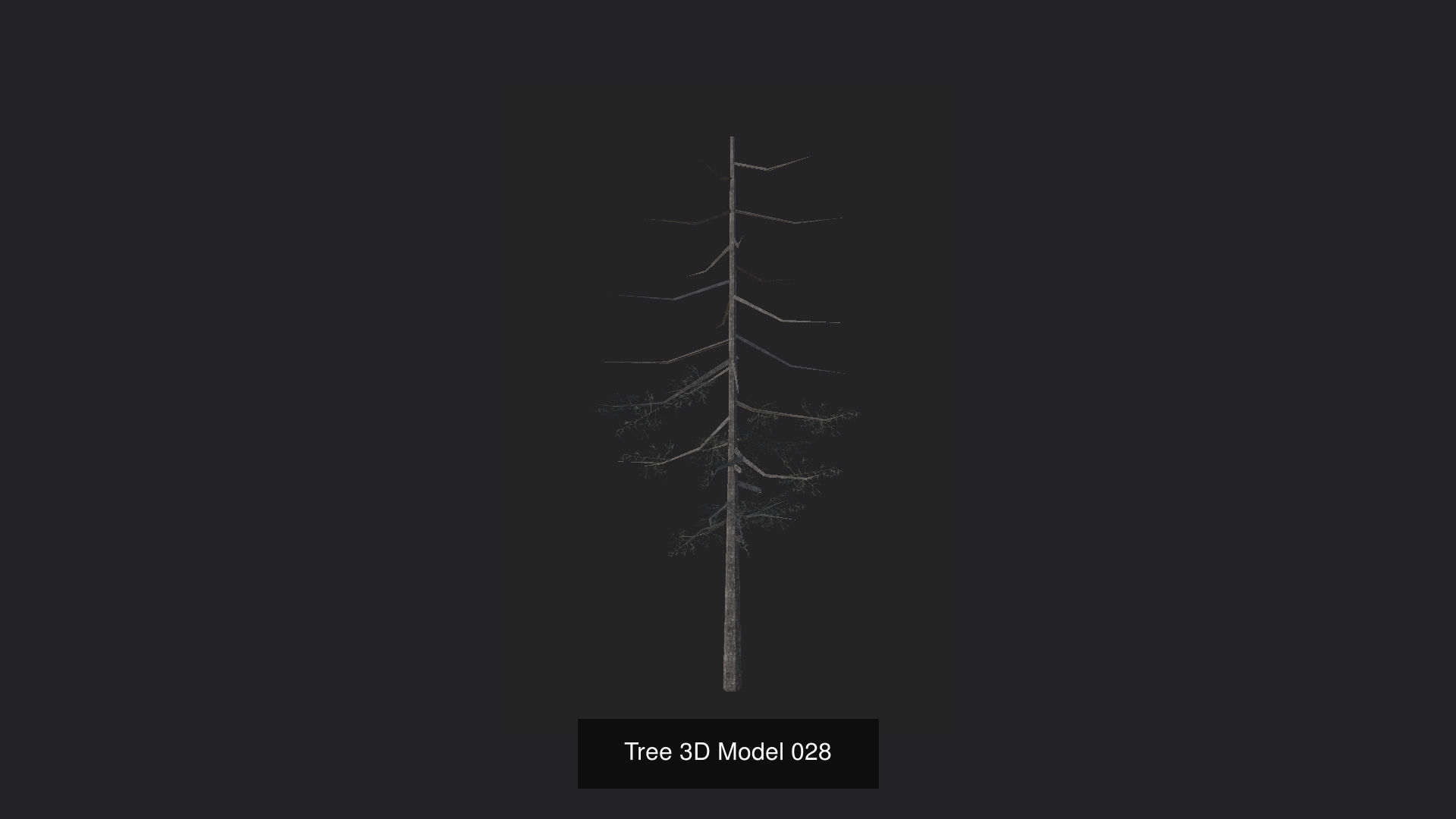 Tree 3D Model 3D Model Collection_29